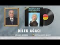 Mediha Şen Sancakoğlu - Dilek Ağacı