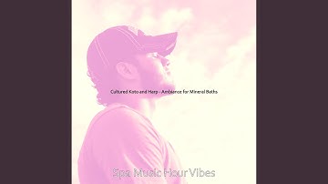 Carefree Koto and Strings - Vibe for Mineral Baths