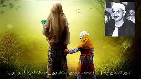 ووصينا الإنسان بوالديه _ سورة لقمان آية { ١٤ } الشيخ المنشاوي