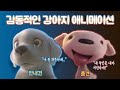 감동적인 강아지 애니메이션 단편 두 편