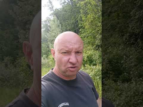 Видео на YouTube