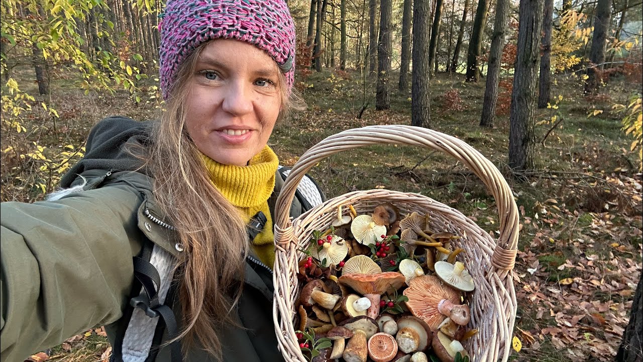 16.11.25 - Sezon grzybowy trwa: tłuste rydze, krągłe podgrzybki, magiczne światło i mgły