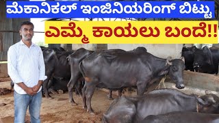 ನನ್ನ ಎಮ್ಮೆ ಹಾಲಿಗೆ ಬಾರಿ ಬೇಡಿಕೆ ಇದೆ!!My buffalo milk is in demand!!