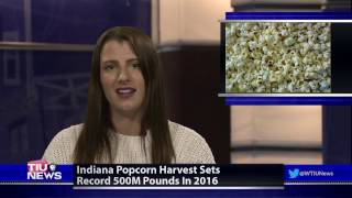 WTIU Newsbreak, January 31, 2017