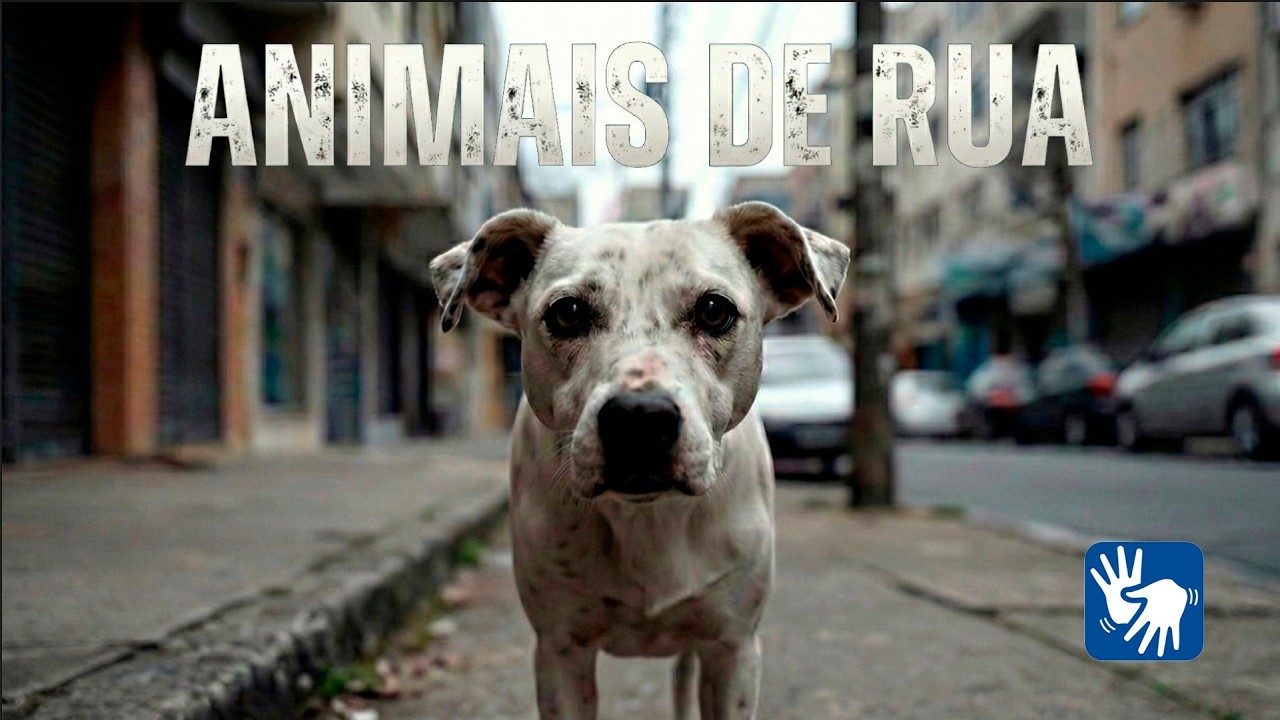 ANIMAIS DE RUA (LIBRAS) - Mostra Gravação na mão - Capítulo 1 de 5