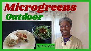 How do I make radish microgreens salad v140