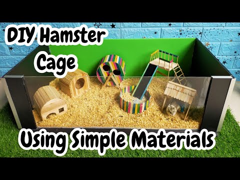 Video: Cara Membuat Sangkar Hamster DIY