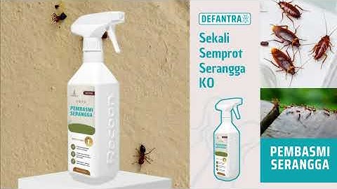 Tidak Hanya Basmi Serangganya, tapi Basmi Jejaknya Juga 🐜