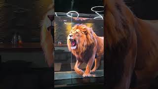 High-clarity innovative tech: COB Transparent Screen #Stage LED screen #Advertising display #led