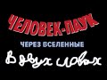 "Человек-Паук: Через Вселенные" в двух словах