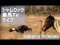 シャムロック乗馬TVライブ!/近況報告と告知