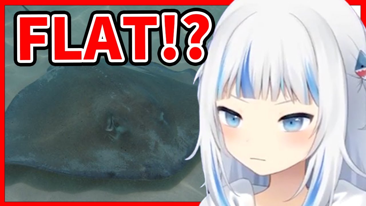 Is Gura a Stingray Shark?【Gawr Gura / HololiveEN】