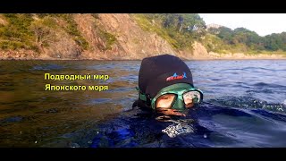 🦀 Первая наша подводная съёмка 🐟 Полуостров Трудный (Приморский край) 🌏