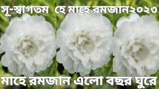 সূ-স্বাগতম হে মাহে রমজান ২০২৩(মাহে রমজান এলো  বছর ঘুরে।# MMJSk #MaheRamzan2023 #ramzan2023