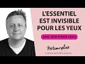 460 jeanpierre goux  lessentiel est invisible pour les yeux