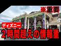 【これ一本で全てわかる】ディズニーシーやディズニーランドの楽しみ方！完全ガイド・入門講座