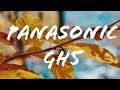 Panasonic GH5 &amp; 12-35mm F2.8 II