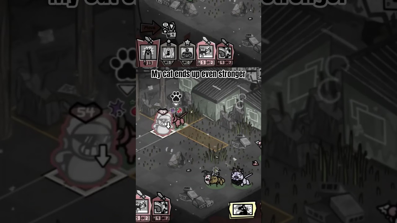 Начало истории об ЭЛИТНОМ Коте-Воине 