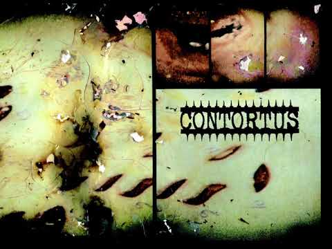 Contortus — CONTORTUS Violence In Heat CD