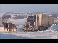 Two horses pulling semi-truck from icy driveway