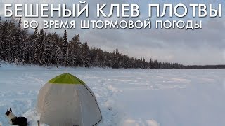 БЕШЕНЫЙ КЛЕВ ПЛОТВЫ ВО ВРЕМЯ ШТОРМОВОЙ ПОГОДЫ