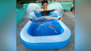 BABULOO VAAYAN   HOMEMADE SWIMMING POOL  ✨  #vlog #foodies #trending