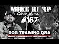 Dog Training Q&amp;A with Navy SEAL Teamdog Founder Mike Ritland