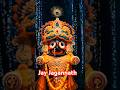 Jay Jagannath || Odia reels || Jagannath bhajan ||