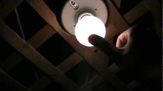 Philips EcoVantage incandescent light bulbs: cool to the touch