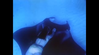 Woman Freediving With Manta Ray 1970S