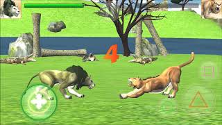 Wild Big Cats Fighting Challenge 2 : Lion Vs Tigers Game - Android GamePlay screenshot 2