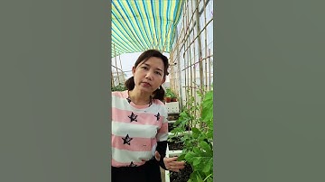 Bạn nghĩ sao!!#nhatrangsadec #trongrausanthuong #thuytrangsadec