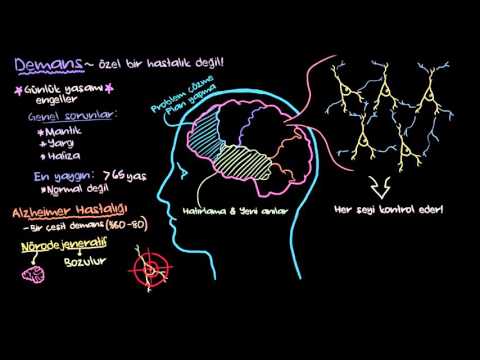 Demans ve Alzheimer Hastalığı Nedir? (Psikoloji / Akıl Sağlığı) (Sağlık Bilgisi ve Tıp)