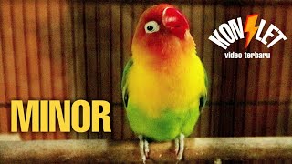 Download lagu MASTERAN LOVEBIRD KONSLET || DOBELAN TERBAIK