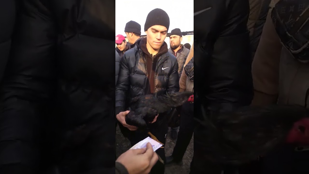 Дакан бозори ёзёвон 14 января 2026 г.