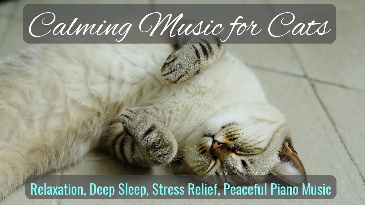 Calming Music for Cats - Relaxation, Deep Sleep, Stress Relief, Peaceful Piano Music | Season 65