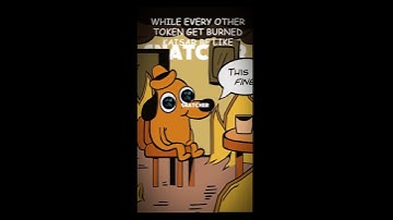 KAISAR ZERO NODE #Kaisar #ZeroNode #kaisarnetwork #crypto