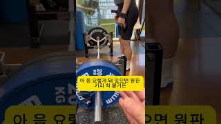 원판 하나도 운동 효율이다 Weight plate design is about training efficiency #조디의무료피티 #시니어운동 #짐인더하우스
