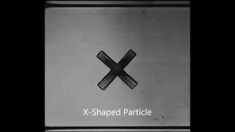 Optofluidic fabrication of X-shaped particle