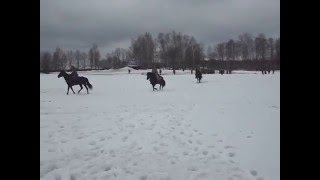 Первая мировая война!