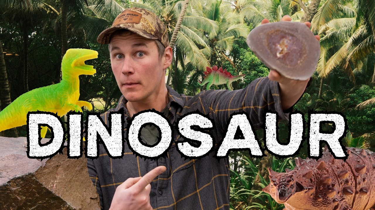 Dinosaur Gembone Explained! In Ten Levels of Quality 