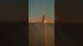 136 Zharikova Ganna M Kostyantintцvka