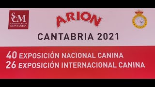 EXPOSICIÓN INTERNACIONAL Y NACIONAL CANINA DE CANTABRIA