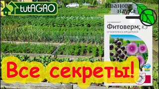 ВСЁ, ЧТО НАДО ЗНАТЬ ПРО ФИТОВЕРМ и АКТОФИТ. Подробности, которых нет на этикетке!