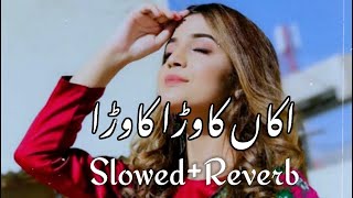 Kawra Kawra Shafaullah Khan Rokhri New song (Slowed reverb)