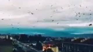 Yaycı Culfa Naxçıvan