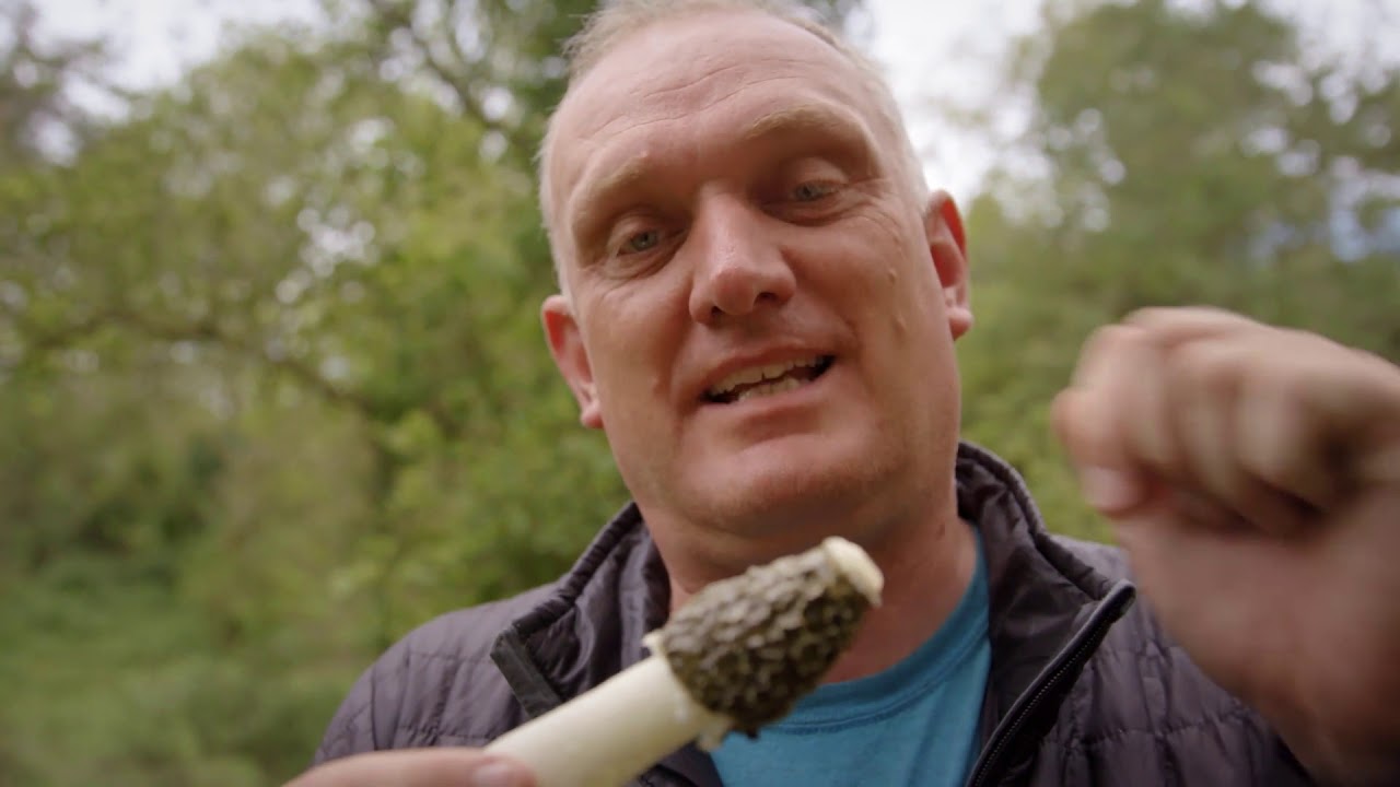 99 arter at se før du bliver voksen: ALMINDELIG STINKSVAMP