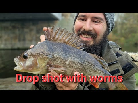 Drop shot with worms 