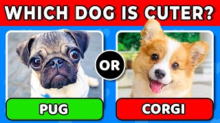 Pick the Cutest Dog | Which Dog is Cuter? | Puppy Edition 🐶