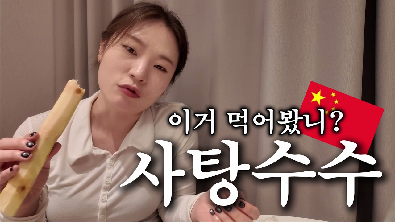 🇨🇳 나혼자 중국여행 | 푸바오 최애 간식 사탕수수 먹어봤어요🐥| 중국 간식 먹방 | 광저우 미니 브이로그